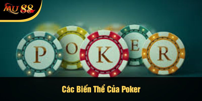 Các Biến Thể Của Poker