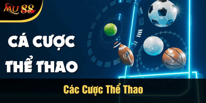 Các Cược Thể Thao