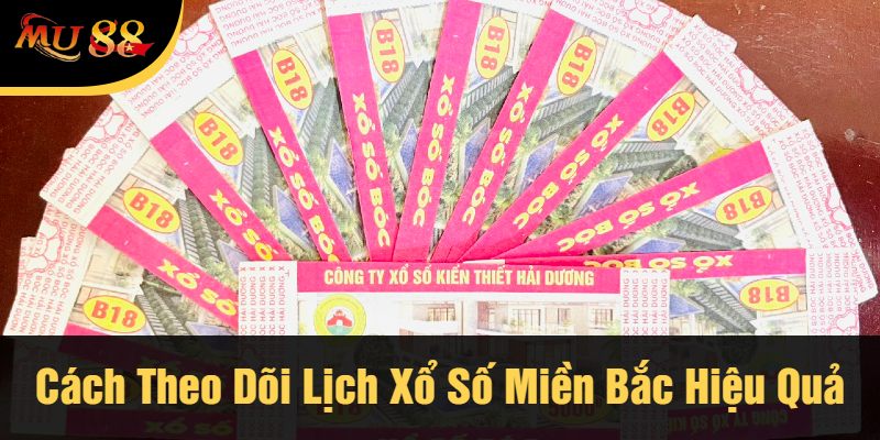 Cách Theo Dõi Lịch Xổ Số Miền Bắc Hiệu Quả