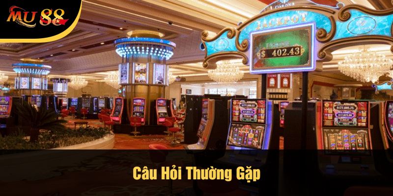 Câu Hỏi Thường Gặp