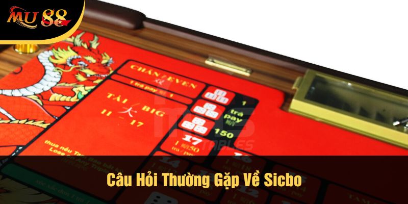 Câu Hỏi Thường Gặp Về Sicbo