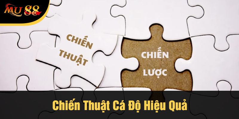 Chiến Thuật Cá Độ Hiệu Quả
