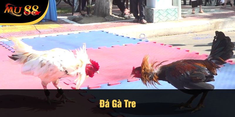 Đá Gà Tre