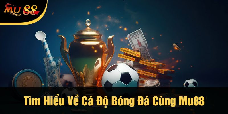 Tìm Hiểu Về Cá Độ Bóng Đá Cùng Mu88